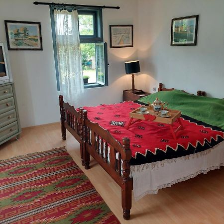 Apartmani Petkovic 226 Velika Drenova 外观 照片