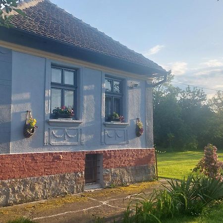 Apartmani Petkovic 226 Velika Drenova 外观 照片