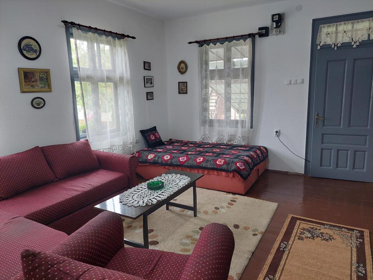 Apartmani Petkovic 226 Velika Drenova 外观 照片