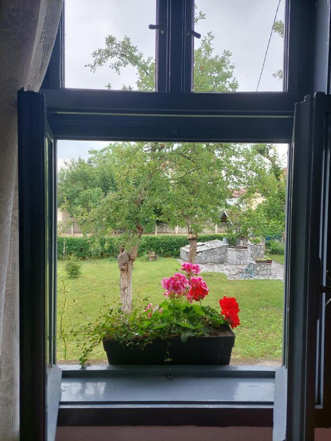 Apartmani Petkovic 226 Velika Drenova 外观 照片