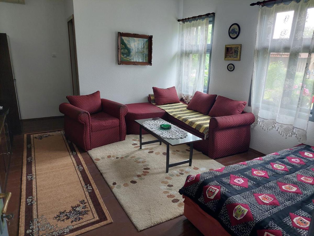 Apartmani Petkovic 226 Velika Drenova 外观 照片