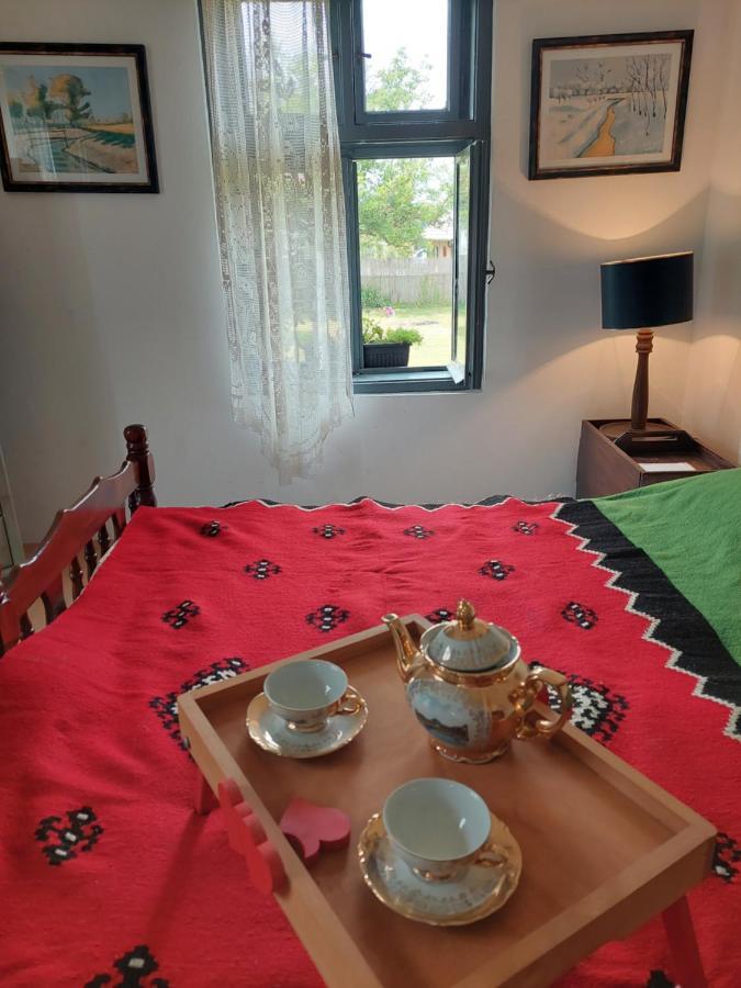 Apartmani Petkovic 226 Velika Drenova 外观 照片