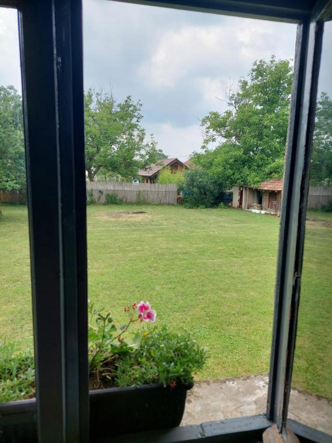 Apartmani Petkovic 226 Velika Drenova 外观 照片