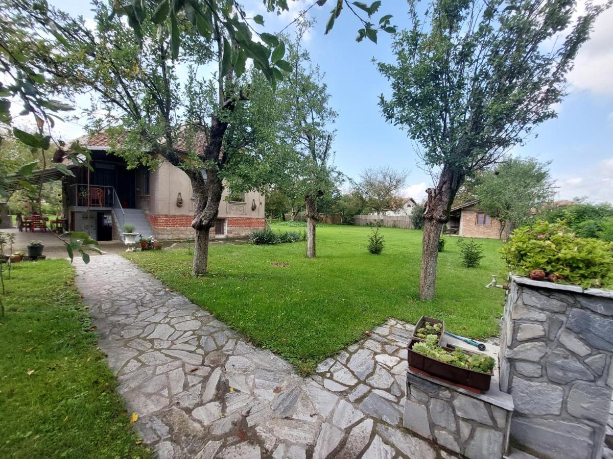 Apartmani Petkovic 226 Velika Drenova 外观 照片