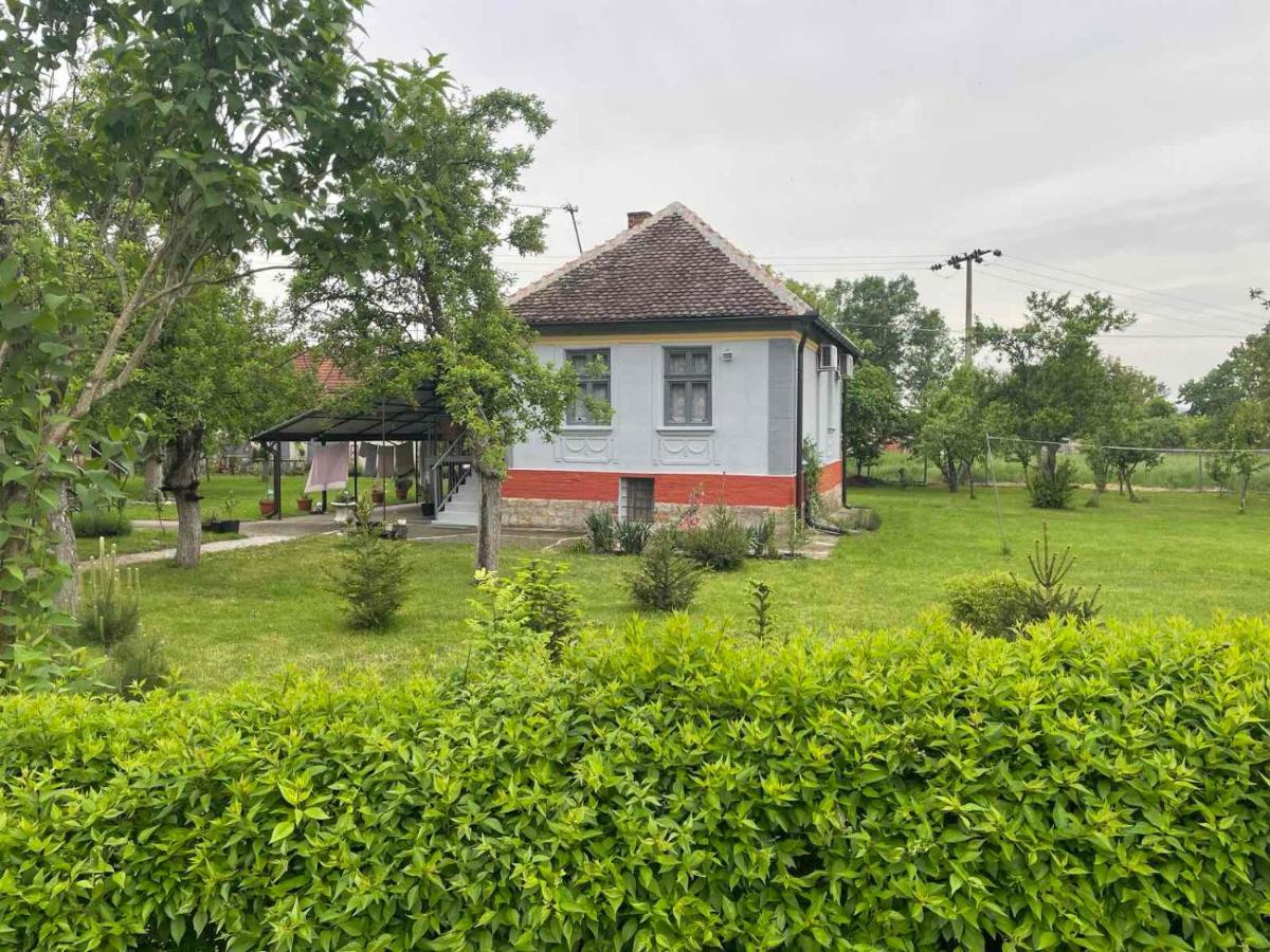 Apartmani Petkovic 226 Velika Drenova 外观 照片