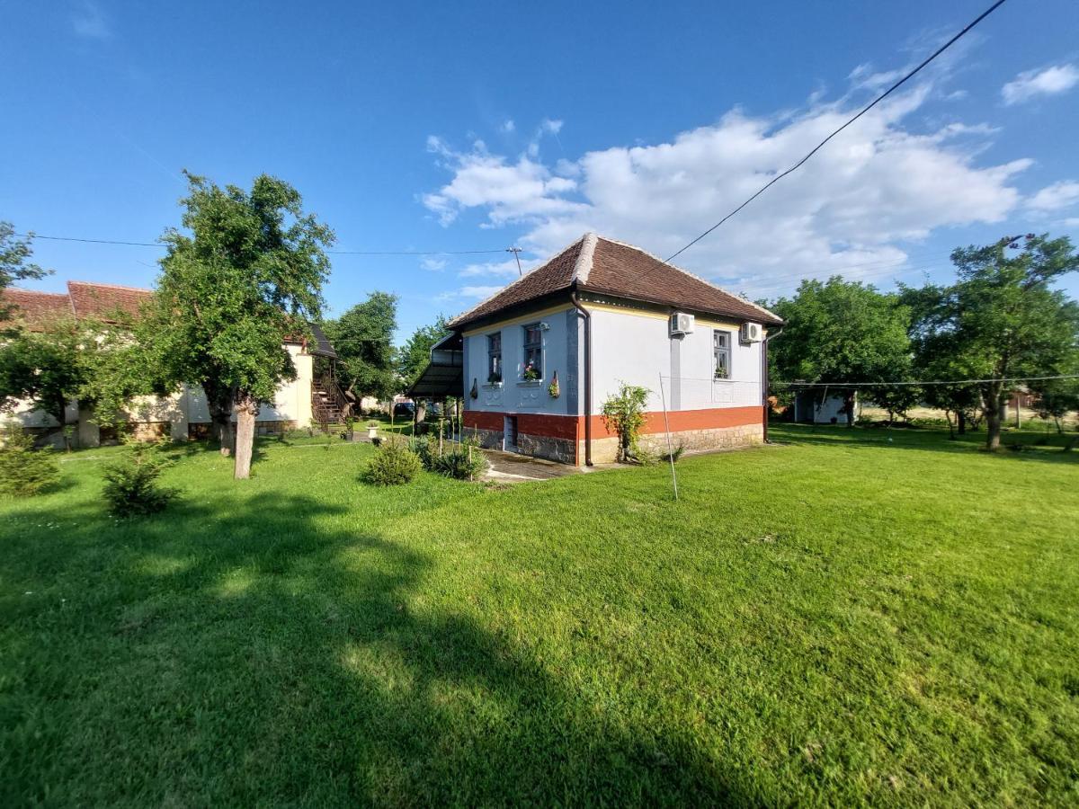 Apartmani Petkovic 226 Velika Drenova 外观 照片